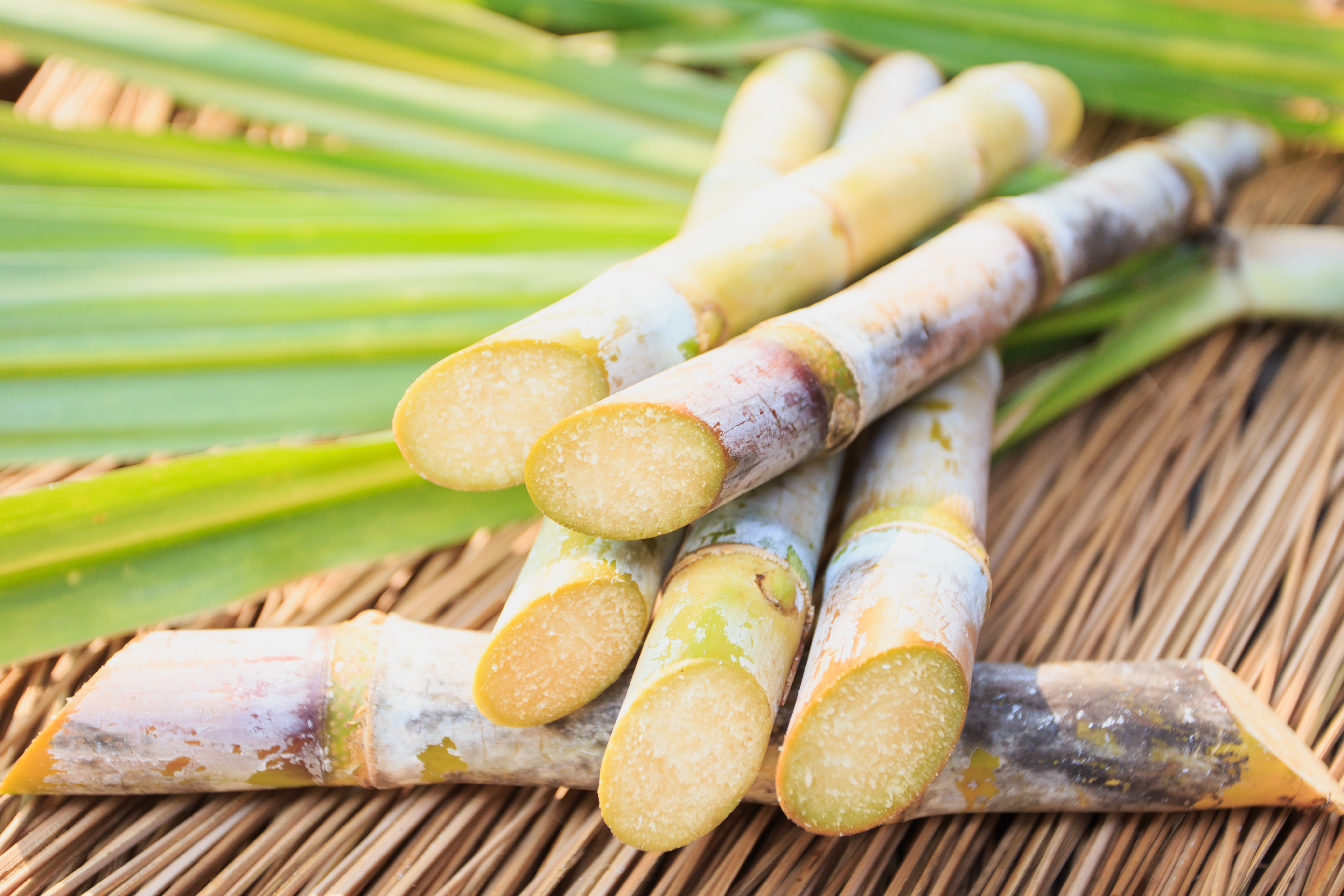 All About Organic Sugarcane Alcohol (AKA, The BEST There Is)