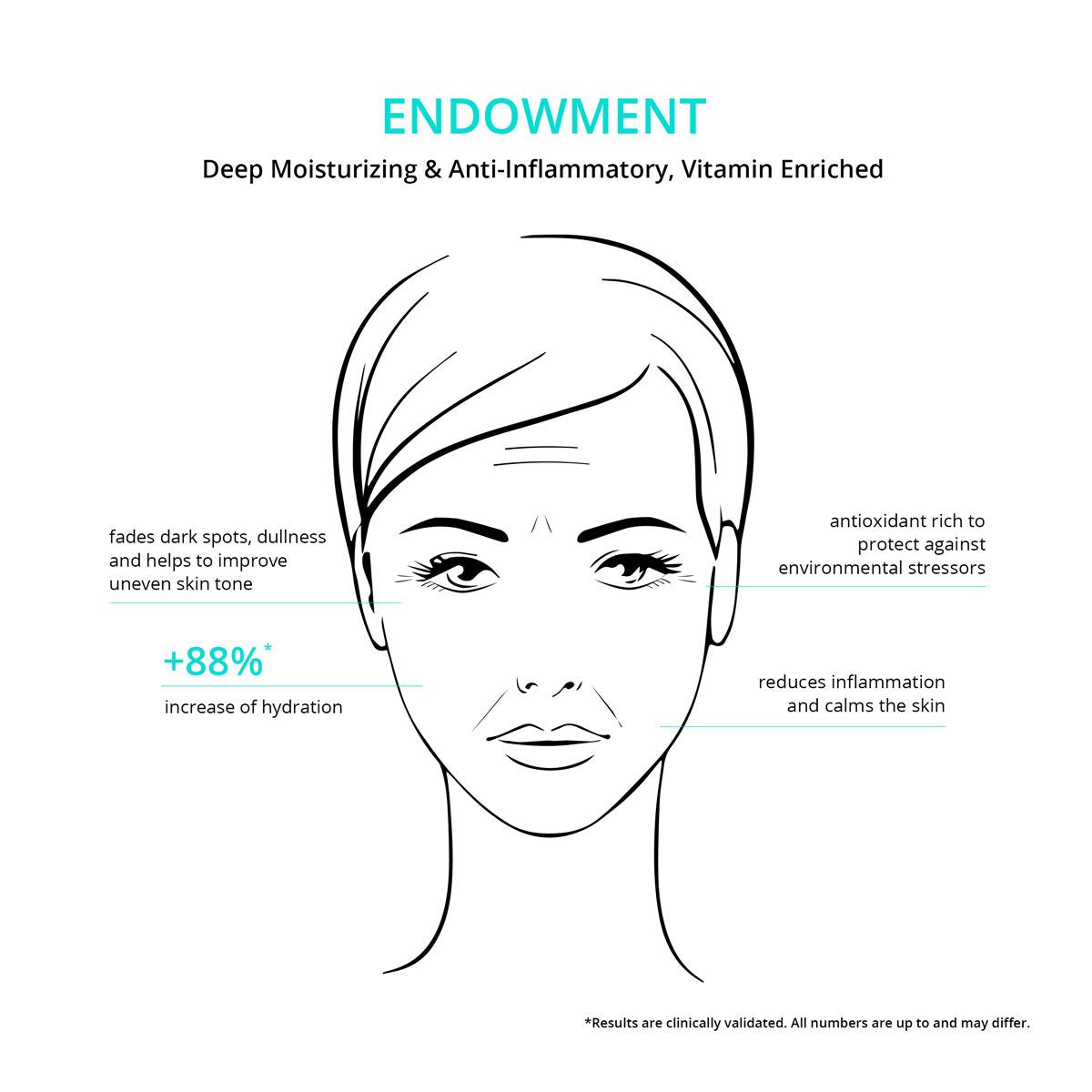 CNC-endowment-face-graph_1200
